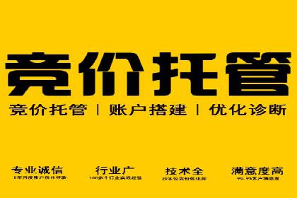 SEM托管服务助力企业实现多渠道营销案例
